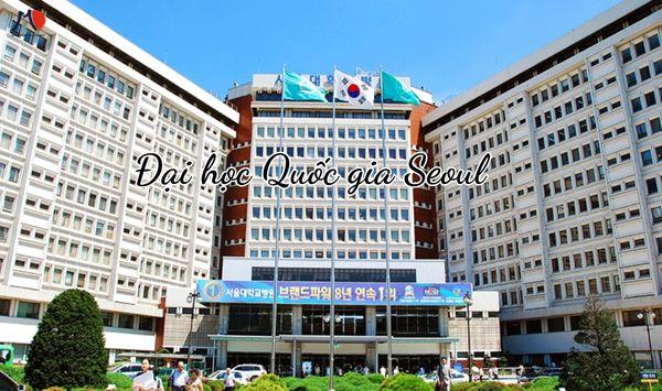 dai-hoc-nganh-truyen-thong-han-quoc-1.jpg