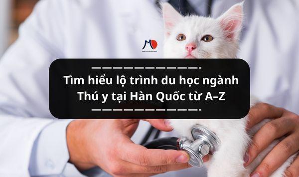 Tìm hiểu lộ trình du học ngành Thú y tại Hàn Quốc từ A–Z