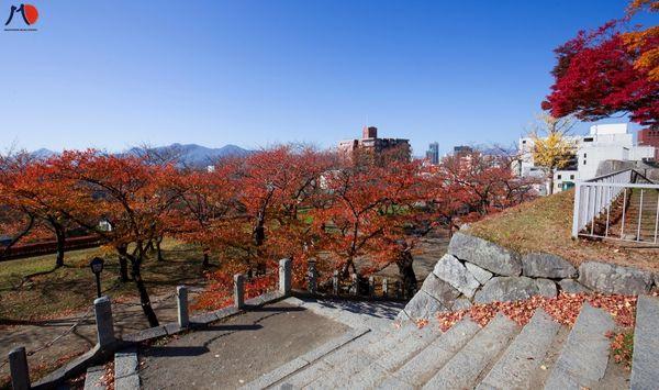 iwate-nhat-ban-thanh-pho-lon-nhat-vung-dat-bat-ngan-tohoku-1.jpg