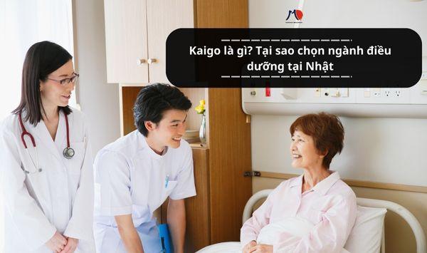 Kaigo là gì? Tại sao chọn ngành điều dưỡng tại Nhật