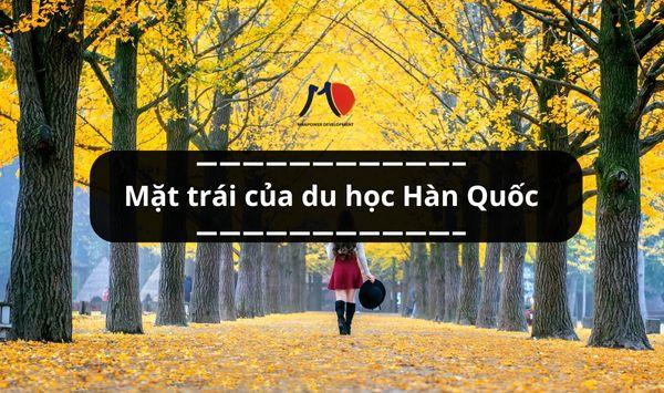 Mặt trái của du học Hàn Quốc mà bạn cần phải biết? Cách phòng tránh