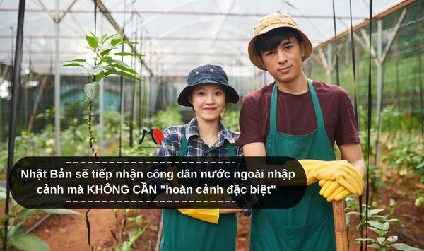 Nhật Bản sẽ tiếp nhận công dân nước ngoài nhập cảnh mà KHÔNG CẦN "hoàn cảnh đặc biệt"