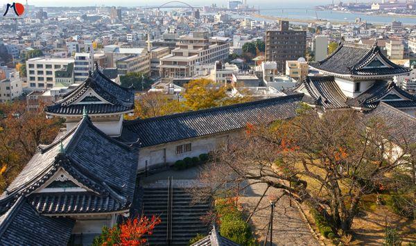 tuyet-doi-dung-bo-qua-10-dieu-khi-den-wakayama-2.jpg